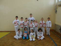 Puchar Taekwon-do 