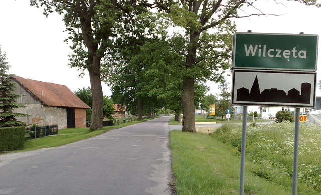 Wilczęta: Kij w mrowisko - full image