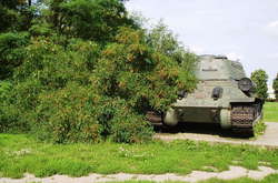 Drzewo upadło koło dobrze znanego w Braniewie czołgu T-34