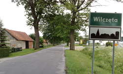Wilczęta: Kij w mrowisko