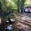 20-latka kierująca toyotą zmarła na ich oczach