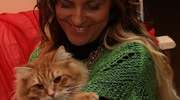 Kot - przyjdzie, kiedy mu się opłaca