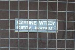 Złapane w kadrze