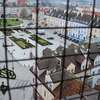 Biskupiec: warto zobaczyć