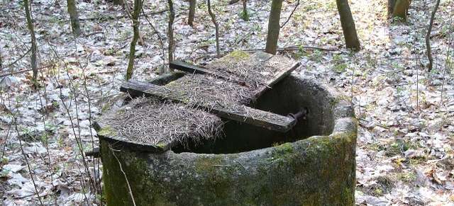 studnia-41423.jpg?iact=hc&vpx=631&vpy=635&dur=2805&hovh=151&hovw=333&tx=112&ty=176&sig=107668478672877792244&ei=eGt8UJ_VHJDKswat3ICYAw&page=15&tbnh=133&tbnw=261&start=511&ndsp=36&ved=1t:429,r:20,s:500,i:64