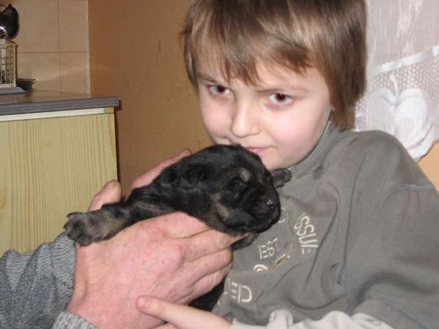 Bartłomiej  Deptuła