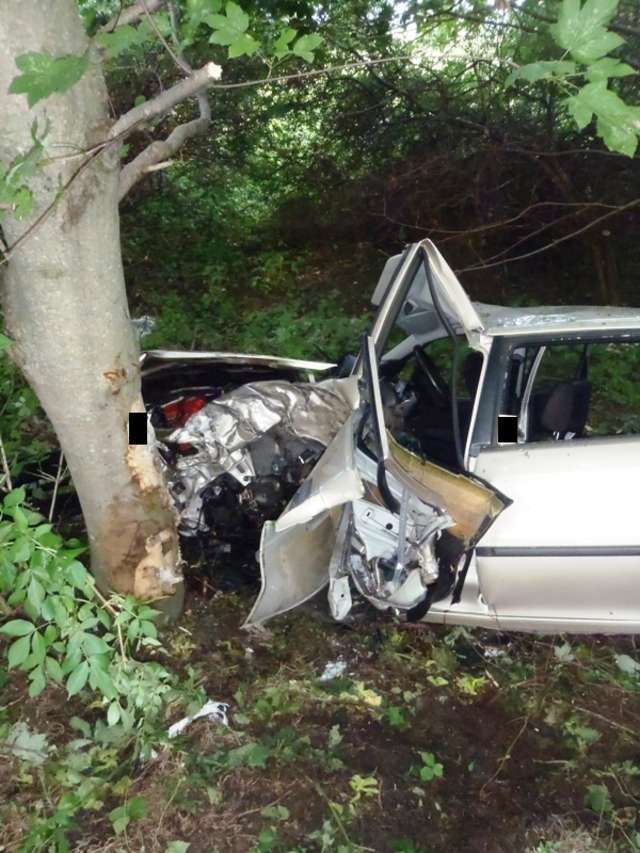 Tragiczny poranek na drogach. Kierowca uderzył w drzewo i zginął - full image