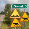 Kucieje/Guzowatka: Komu przeszkadzały znaki drogowe? 