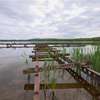 Jezioro Giłwa zaprasza wędkarzy