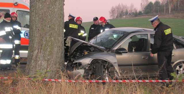 Śmiertelne żniwo niedzielnego poranka - full image