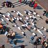 Warszawa: Flash mob dla Mazur
