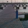 Ptasia marina