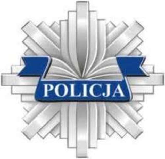 Raport z działalności policyjnej - full image