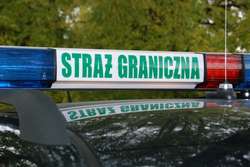 Twierdził, że wyciął trzy choinki. Prawda była zupełnie inna