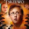 Magiczne drzewo. Olbrzym - ta książka może być Twoja  