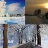 Najpiękniejsza fotografia zimowa. Wpłynęły nowe zdjęcia