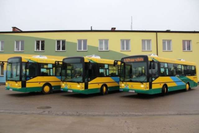 Ostrołęka: Trzy nowe autobusy MZK wyjechały na ulice - full image