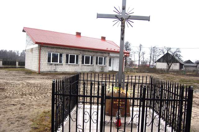 Napisali do nas: Gdzie zginęła 200-letnia sosna (odpowiedź urzędu gminy i sołtys wsi) - full image