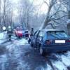 W drzewo i do rowu. Uwaga — ślisko na drogach!
