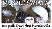 Muszle świata w olsztyńskiej bibliotece