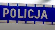 Policjantka zatrzymała złodzieja, który schował się w kontenerze