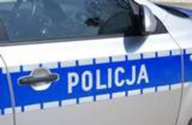 Za posiadanie amunicji trafi przed sąd - full image