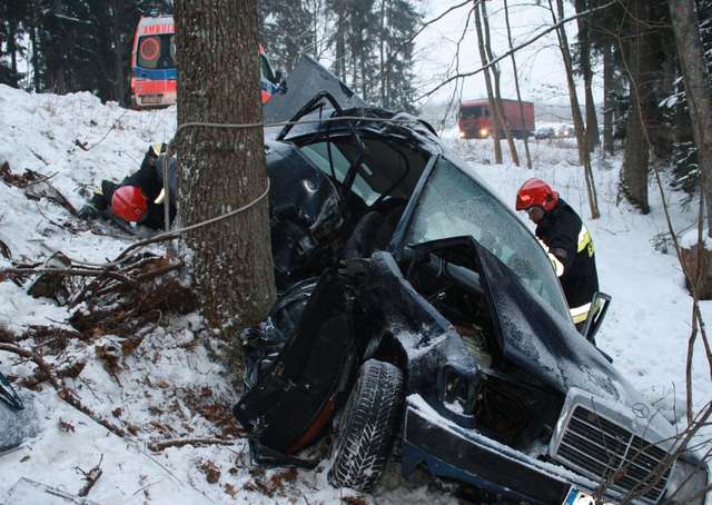 Mercedes uderzył w drzewo. Żona i syn kierowcy nie żyją - full image