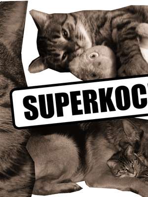 Miziak to Superkociak!