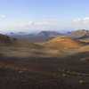 Lanzarote: Kaktusy na wulkanie