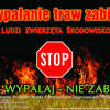 Wypalanie traw może kosztować nawet 5000zł