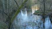 Kajakiem przez Welski Park Krajobrazowy