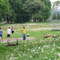 RADZANÓW: Park w Ratowie będzie jak nowy
