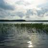 Jezioro Brzozolasek pełne (podobno) szczupaków