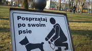 Donos goni donos, więc sprzątaj po swoim psie