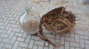 Połasili się na wino i narzędzia malarskie