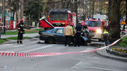 19-letni kierowca rozbił się na drzewie w centrum miasta