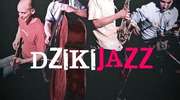 To naprawdę dziki jazz. W dodatku mamy 2 zaproszenia!