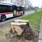 Buspasy czekają na zielone światło. Społecznicy protestują