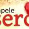 Koncert charytatywny „Kapele serc”