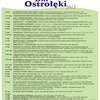 Ostrołęka: Zobacz program Dni Ostrołęki