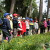 Kudypy: Leśne arboretum z Zielonym Laurem 