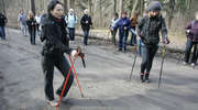 Lubisz chodzić? Przyjdź na nordic walking