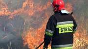 Z notesu mławskiego strażaka - raport zdarzeń 24 kwiecień - 4 maj