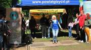 Powitanie wiosny w lesie miejskim