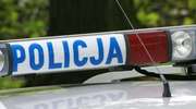 Ostrołęka: Złodzieje w rękach policji