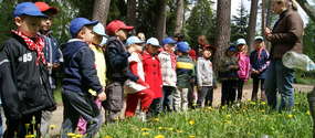 Kudypy: Leśne arboretum z Zielonym Laurem