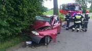 Auto uderzyło w drzewo. Kierowała córka, zginął ojciec