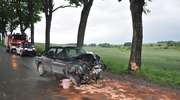 Auto uderzyło w drzewo. 4 osoby w szpitalu. Kierowca bez "prawka"