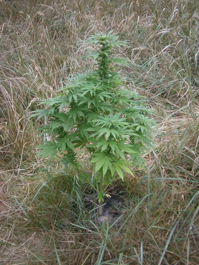 3-1-122032.jpg