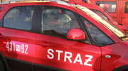 Ponad 170tys. zł strat po pożarze